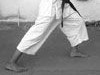 Shotokan karate
